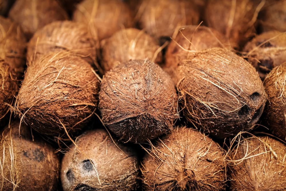 Dobrodziejstwo orzechów kokosowych – właściwości, kalorie